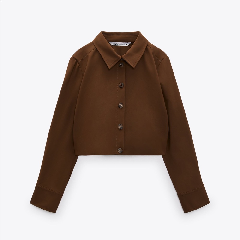 Zara NWT Brown Cropped Jacket Pleated Back Size XS